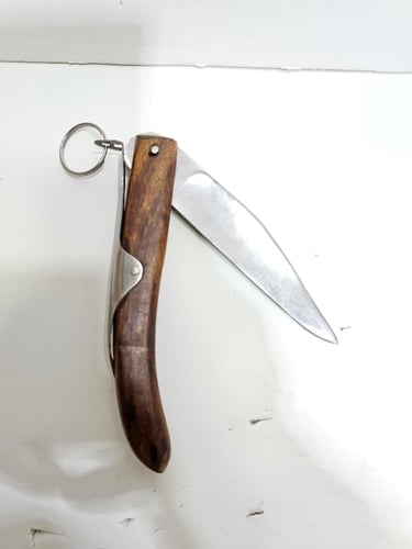 ردادي باكستاني