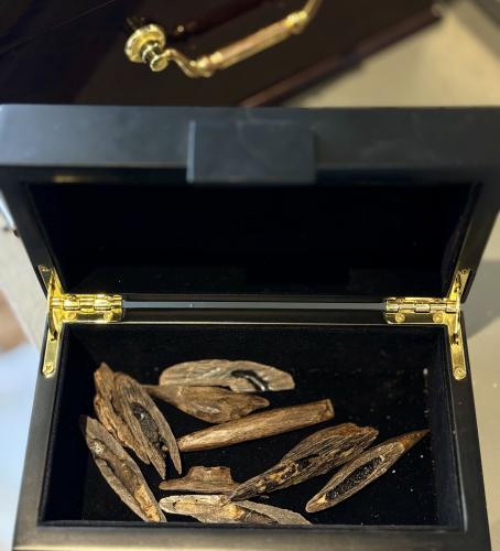 عود فلبيني نادر