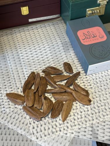 محسن الفخامة