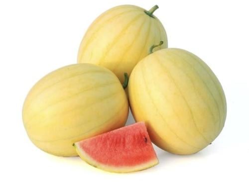 حبحب فيري F1