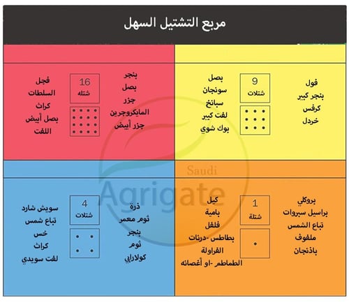 مربع البذور