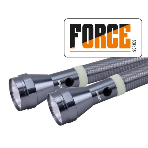 مجموعة كشاف سانفورد