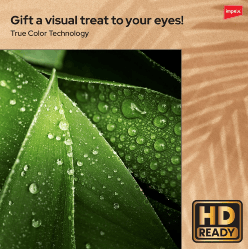 GLORIA 32" LED TV | IX32HD