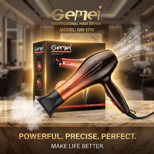 Gemei Professional Hair Dryer 3000w