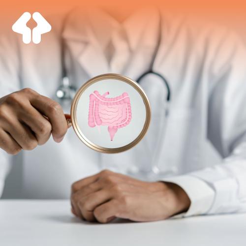 باقة القولون