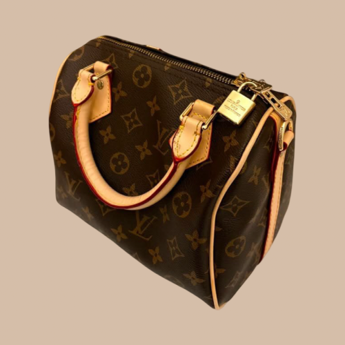 Louis Vuitton pre-owned