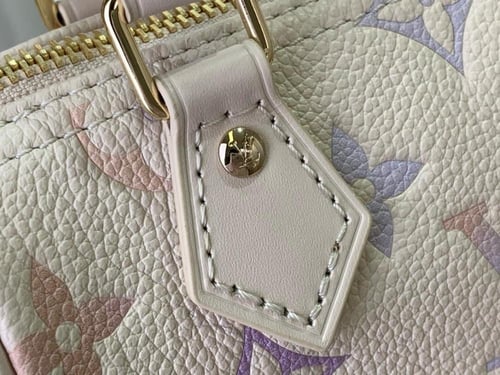 لوي فيتون نانو سبيدي