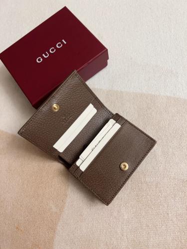 قوتشي محغظه