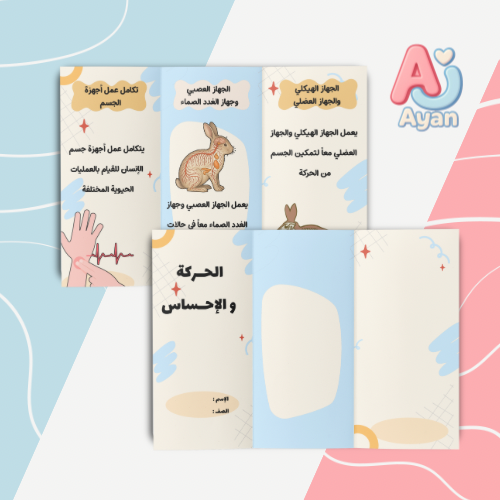 الحركة والإحساس