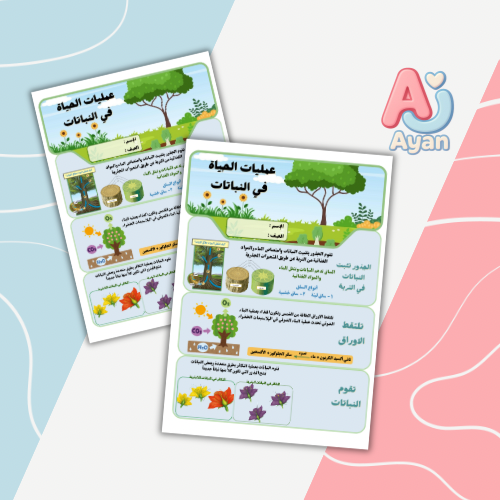 عملية الحياة في النبات