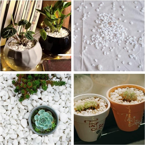 احجار نهرية بيضاء مزخرفة بالكيلو