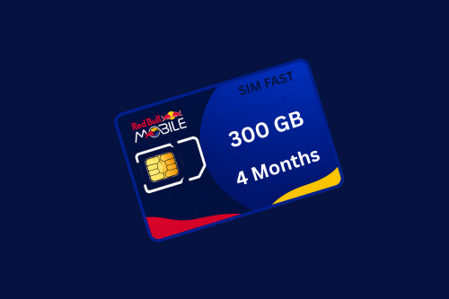 300 جيجا – 4 أشهر