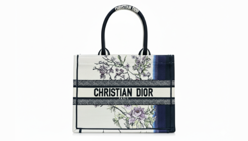 Dior Book Tote