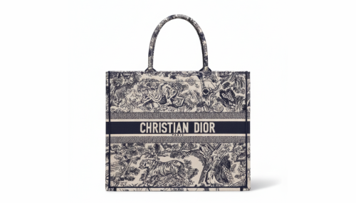 Dior Book Tote