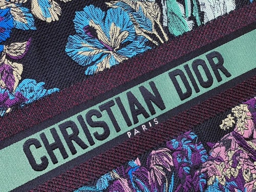 Dior Book Tote