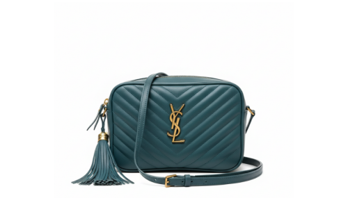 Saint Laurent LouLou Camera