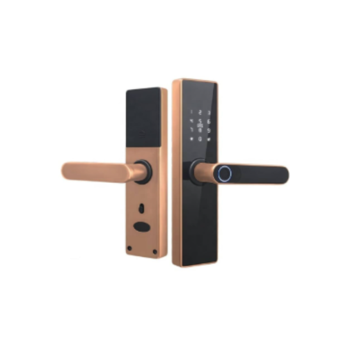 Smart door lock - wooden