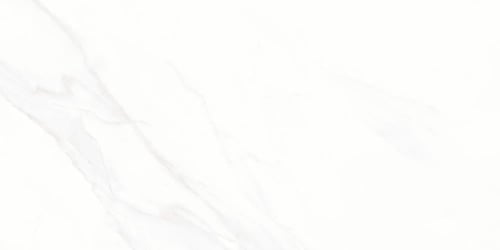 CALA LIGHT | كالا لايت