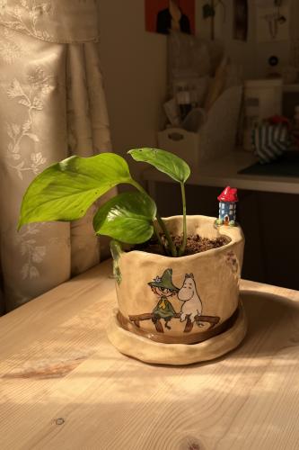 اصيص وادي الامان