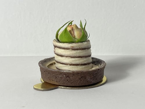 التارت الفاخر بحشواته المتنوعة وأشكاله المبتكرة