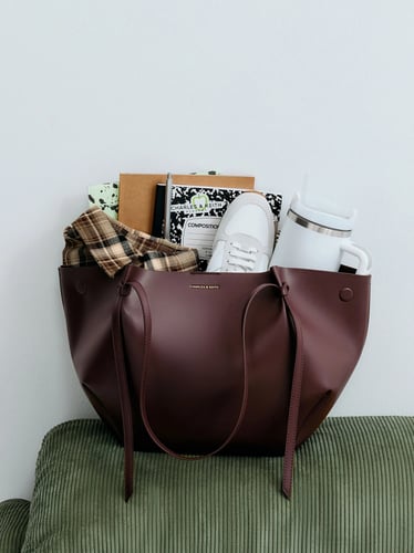 حقيبة تشارلز اند كيث charles and keith