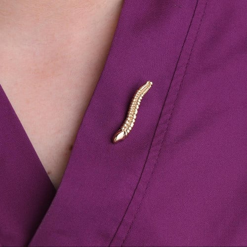 دبوس عمود فقري