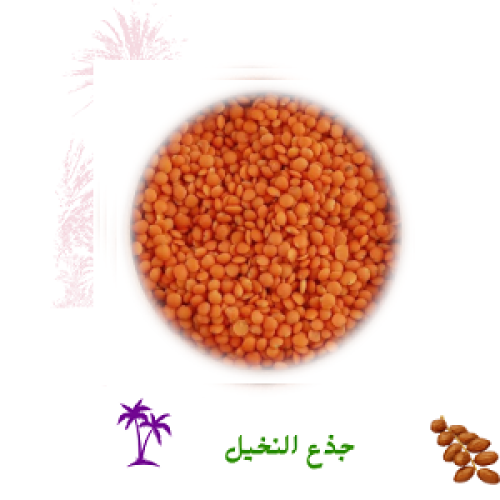 عدس احمر 1 كيلو