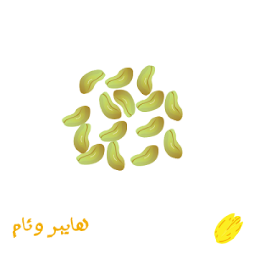 فستق مقشور عبوة بلاستيك 45 جرام