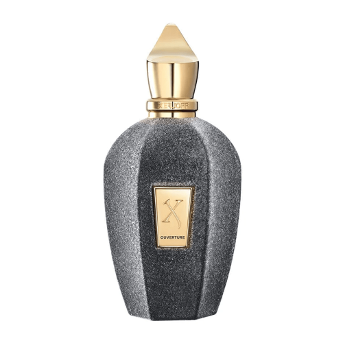 عطر أوفيرتور 100مل او دي بارفيوم - من اكسيرجوف