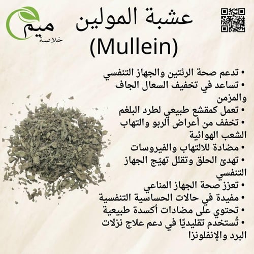 عشبة المولين (Mullein) 50 جرام