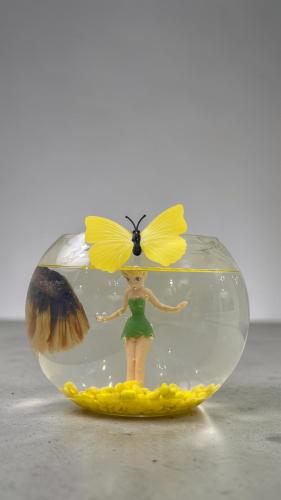 fishbowl
