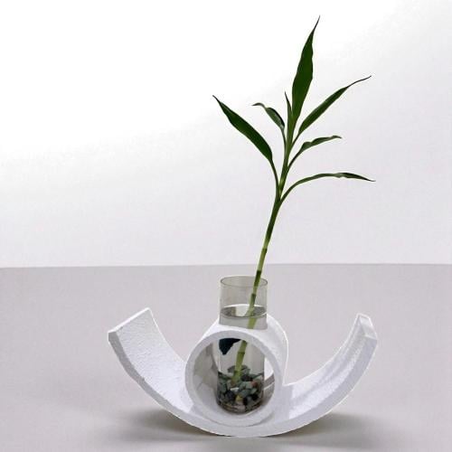 fishbowl