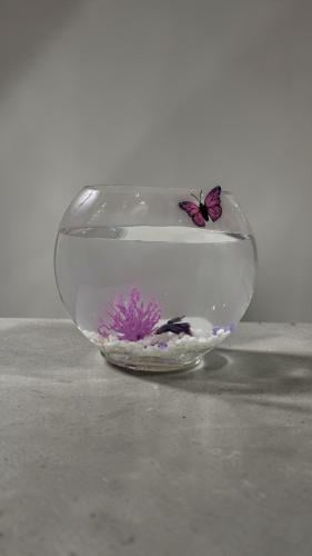 fishbowl
