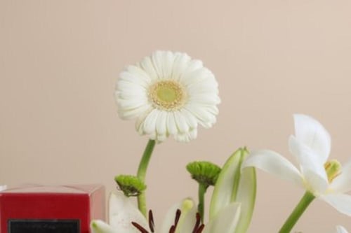 هيبة واناقه