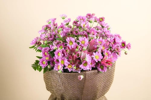 باقة بيبي كريز