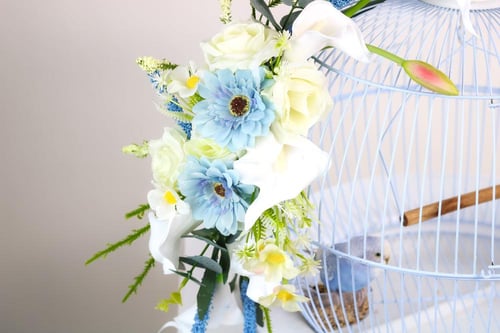 عصافير الحب