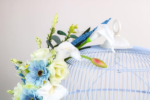 عصافير الحب