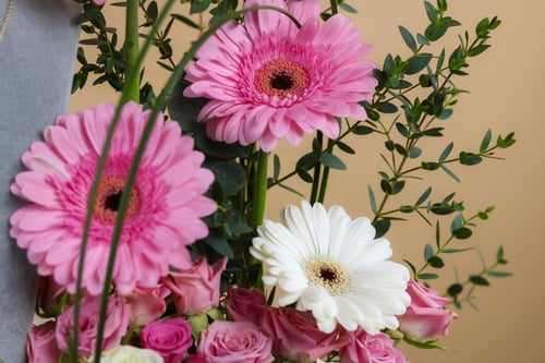 رقة الذهب والورد