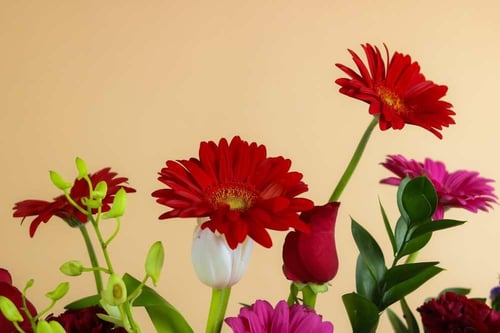 باقة الفرح المبهجة