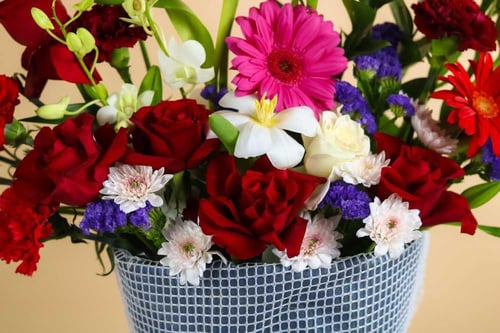 باقة الفرح المبهجة