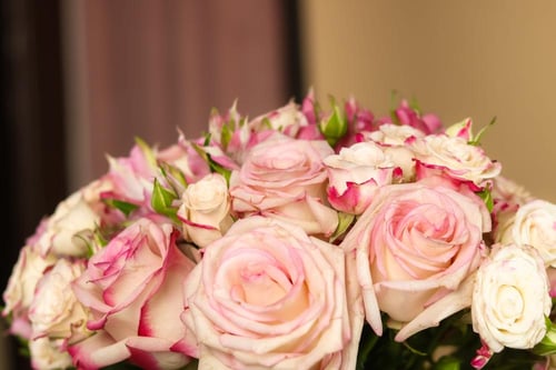 فازة همسة زهري