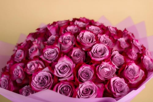 أطياف الجوري الموڤ