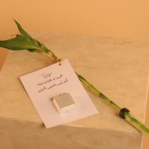 توزيعات بامبو وشوكولاتة