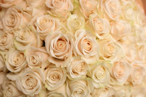 باقة جوري ملكي