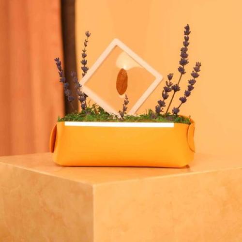 توزيعة عود مع لافندر