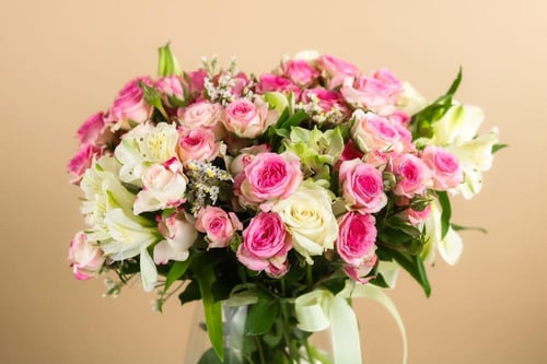 فازة البهجة