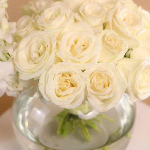 تخرج و بقلاوه