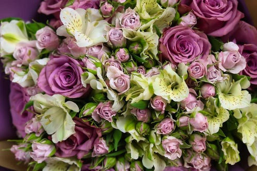 باقة زهور الغروب الساحرة