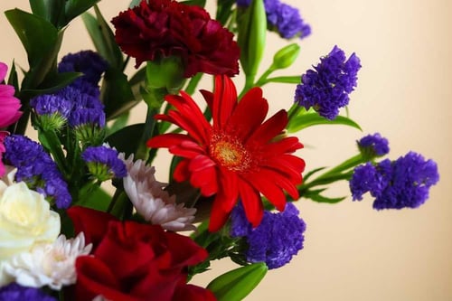 باقة الفرح المبهجة