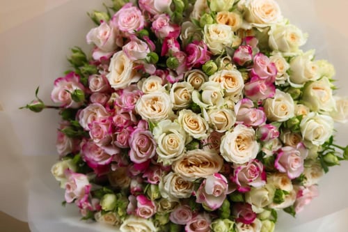 باقة بيبي روز